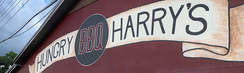 Hungry Harrys Land 'O Lakes Food Review